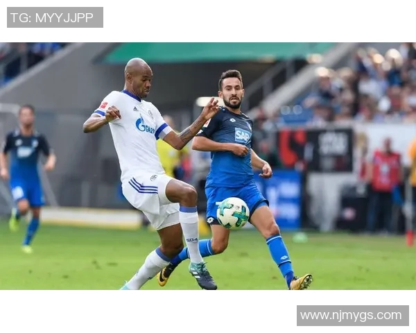 悉尼与布里斯班狮吼精彩对决现场直播全程回顾与分析